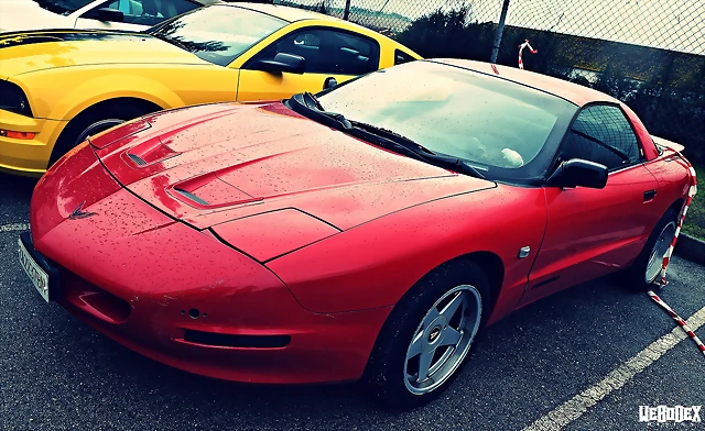 DSC_0768 DSC_0768