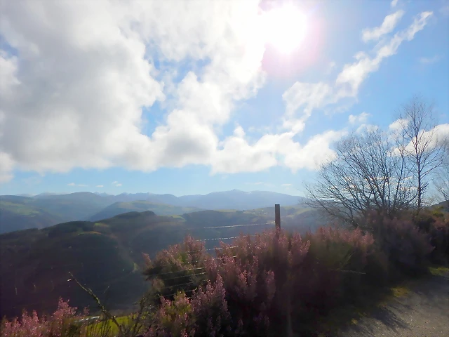 DSCN8983 DSCN8983