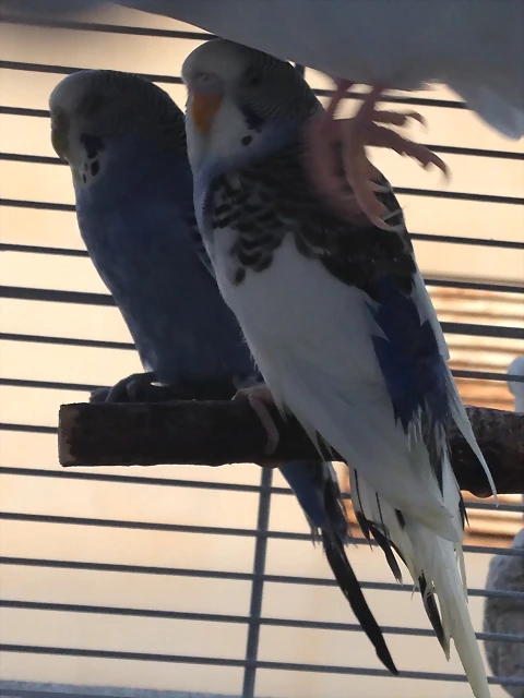 la foto 2 la foto 2