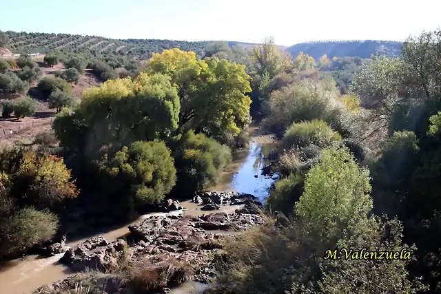 09, rio Guadalimar, marca