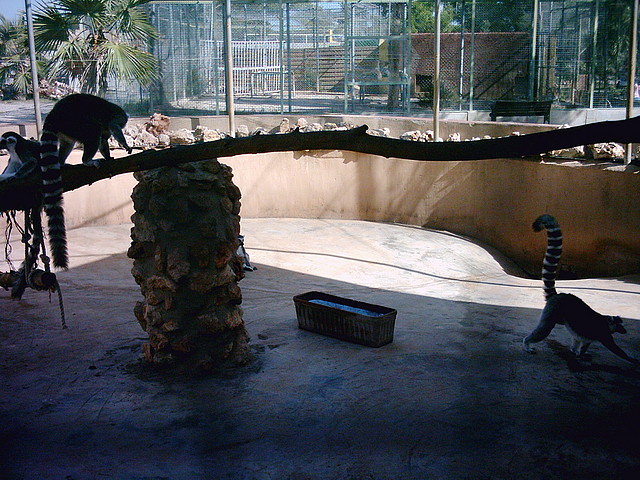 PIC04877 PIC04877