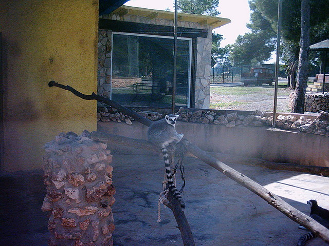 PIC04874 PIC04874