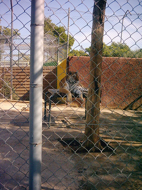 PIC04873 PIC04873