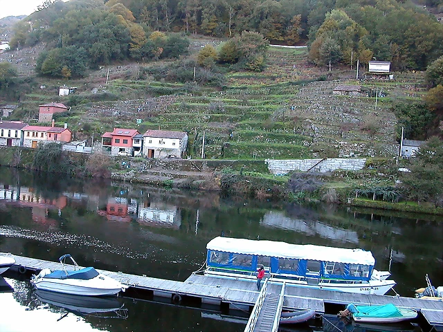 DSCN6482 DSCN6482