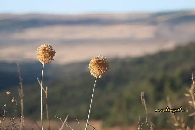 03, el sol fuera, marca