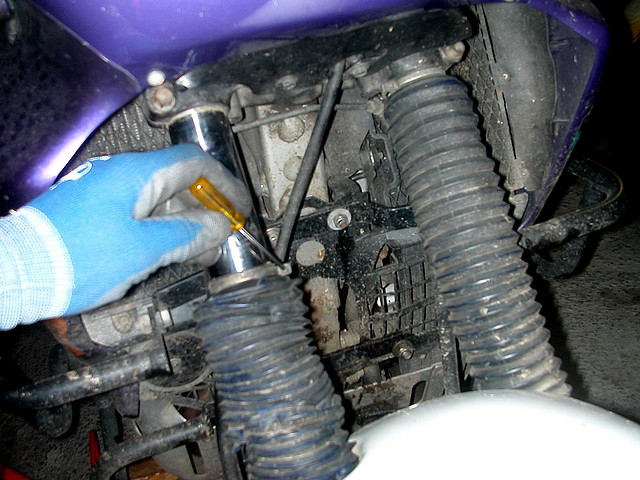 DSCN4733 DSCN4733