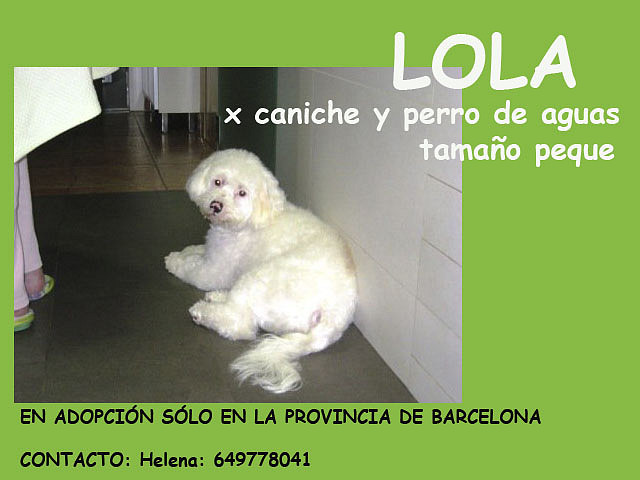 LOLA Barcelona