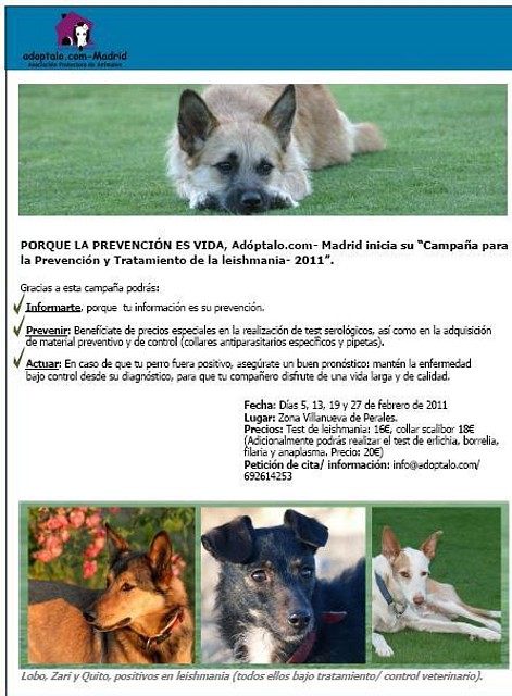 cartel cartel