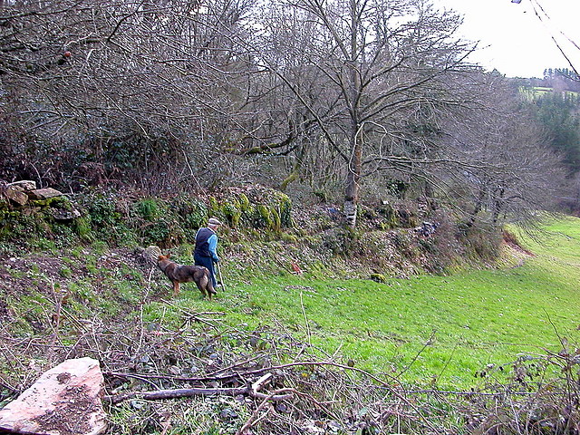 DSCN1199 DSCN1199