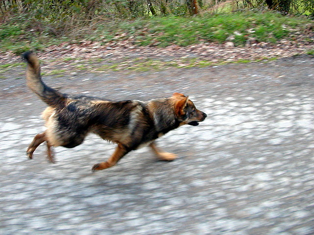 DSCN1196 DSCN1196