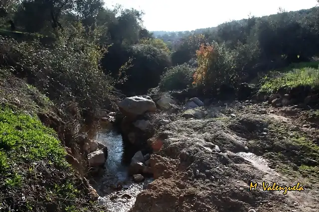 013, hacia la lanzada 3, marca