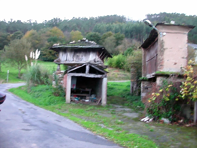 DSCN6335 DSCN6335