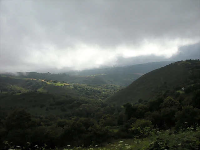 DSCN4799 DSCN4799