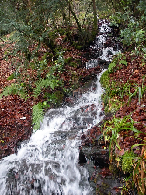 DSCN0713 DSCN0713