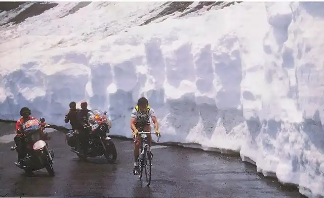 STELVIO 1980.HINAULT.