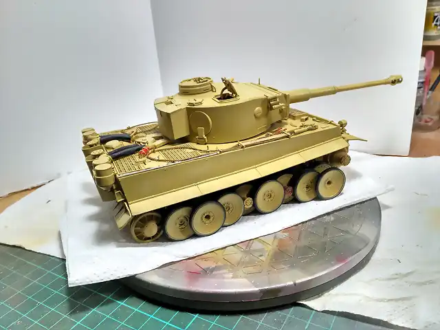 Tiger71