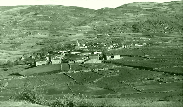 albergueria albergueria