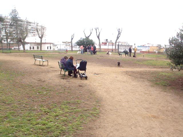foro-Parque para perros en Huelva-15.02.14-J.Ch.Q 12