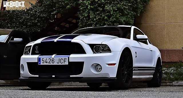 DSC_0799 DSC_0799
