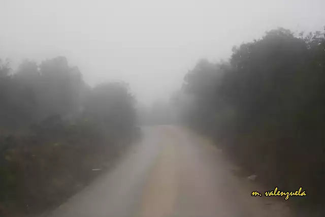 14, el camino entre niebla, marca 3