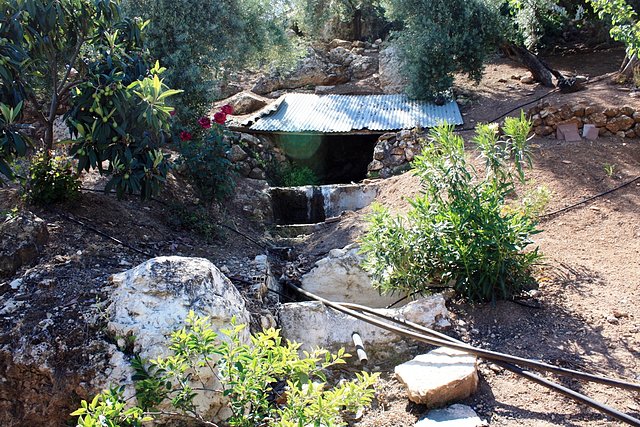 venero del cortijo