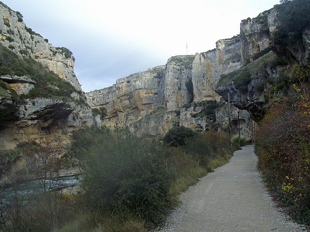 La foz de Lumbier 066