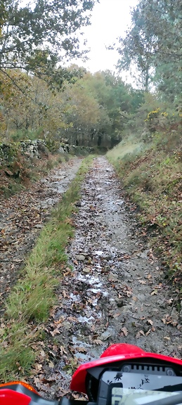 IMG_20231112_165035 IMG_20231112_165035