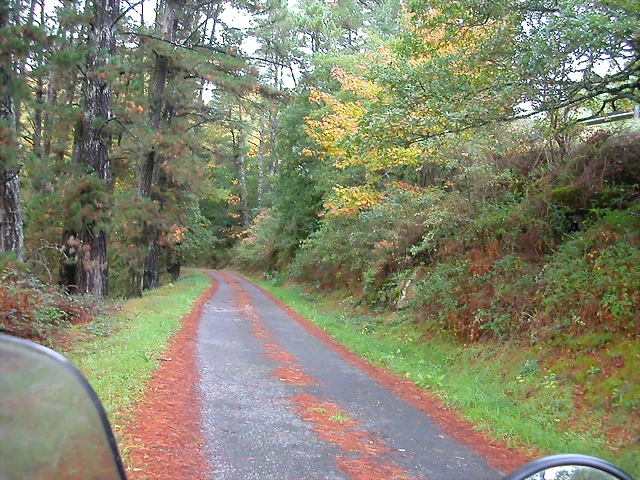 DSCN5725 DSCN5725