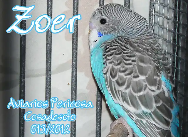 2012 013 ZOER