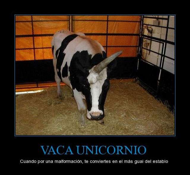 CR_337495_vaca_unicornio