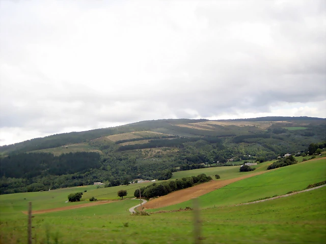 IMG_0463 IMG_0463