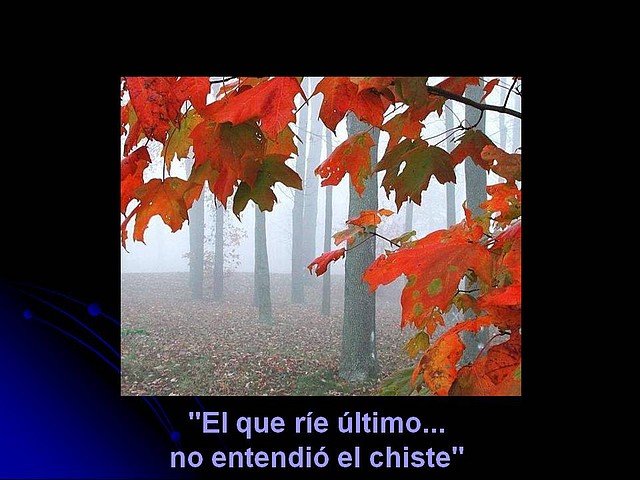 Diapositiva11 Diapositiva11