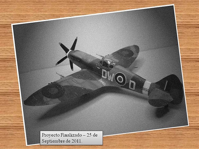 spitfire 2011-09-25 fin (1)