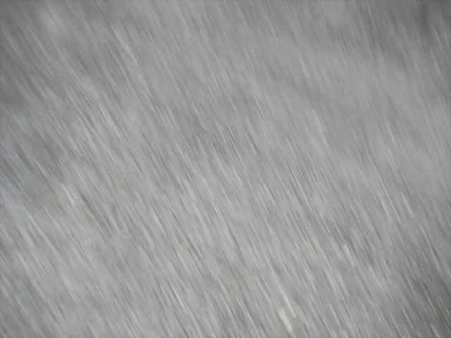 IMG_1184 IMG_1184
