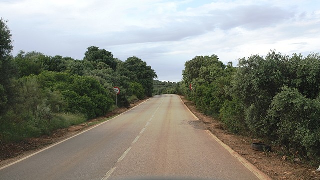 010, por la carretera