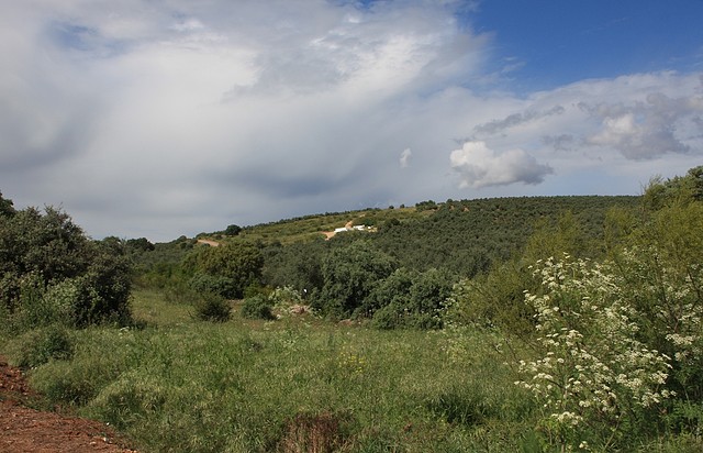 011, desde la carretera