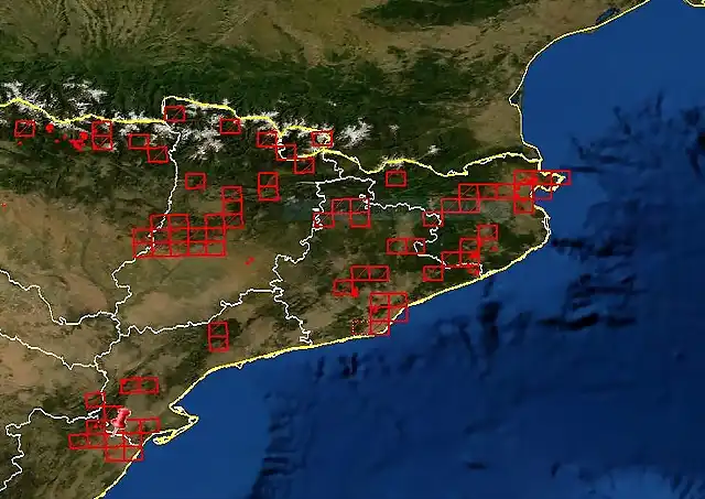 mapa Q. cerrioides