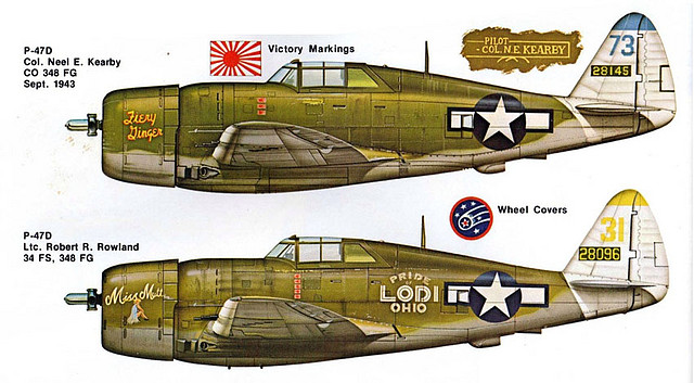 profile_P-47_2_with_348th