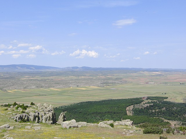 CIMG0130