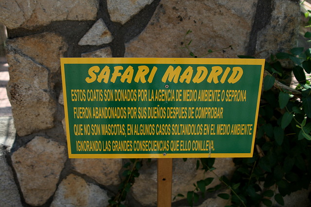 Zoo Barcelona, Faunia y Safari Madrid 1663 Zoo Barcelona, Faunia y Safari Madrid 1663