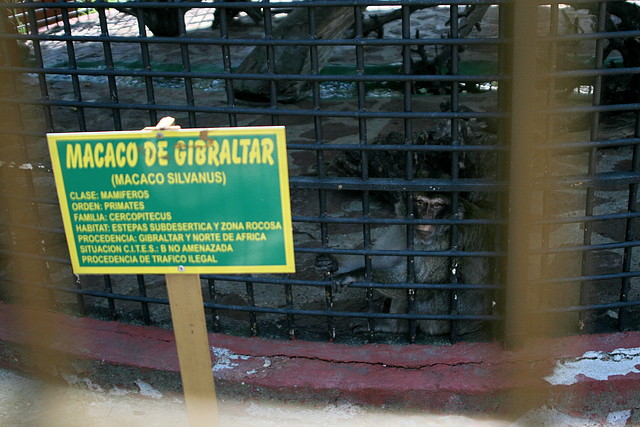 Zoo Barcelona, Faunia y Safari Madrid 1697 Zoo Barcelona, Faunia y Safari Madrid 1697