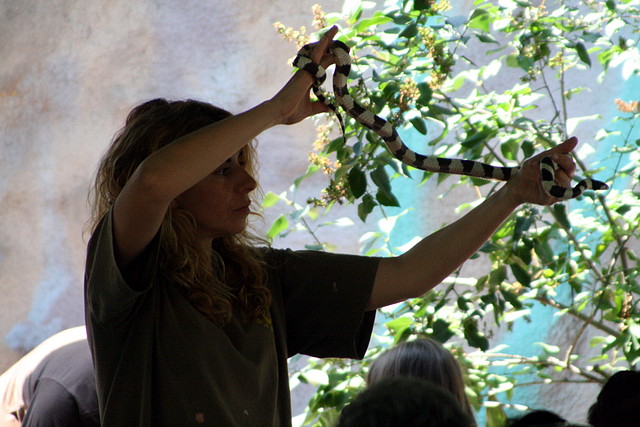 Zoo Barcelona, Faunia y Safari Madrid 1754 Zoo Barcelona, Faunia y Safari Madrid 1754