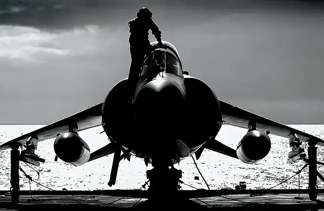 Harrier de la Royal Navy