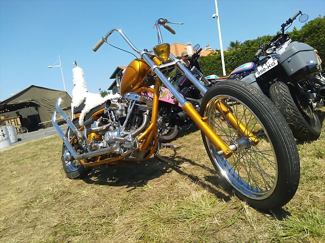IMG_20220702_123544_821 IMG_20220702_123544_821