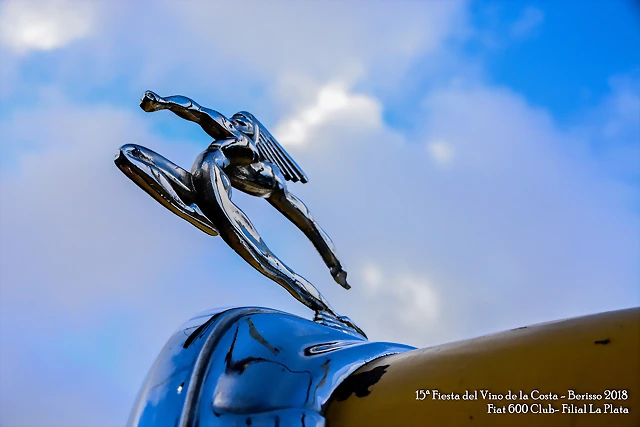 DSC_0061 DSC_0061