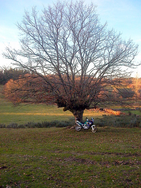 DSCN5821 DSCN5821