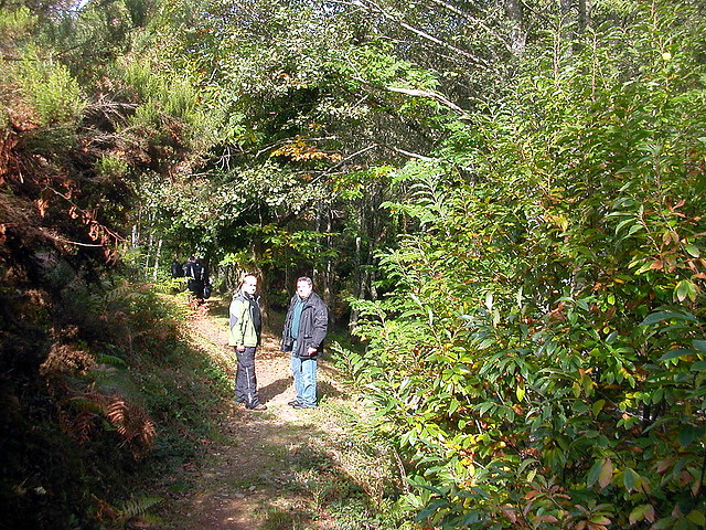 Pulpada 2010 081 Pulpada 2010 081
