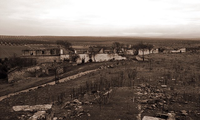 olvera en sepia 002a