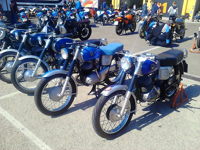 C&L'15 981 C&L'15 981