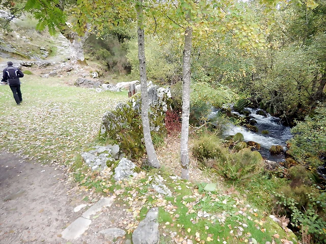 DSCN2093 DSCN2093